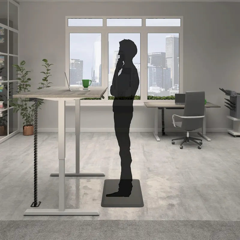 Adjustable Height Pro-Desk